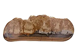 Marble: 80195636 Cotham Marble or Landscape Marble is a