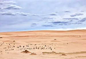 Jean-marc La Roque: 80196640 The Mungo National Park is a protected