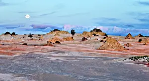 Jean-marc La Roque: 80196641 The Mungo National Park is a protected
