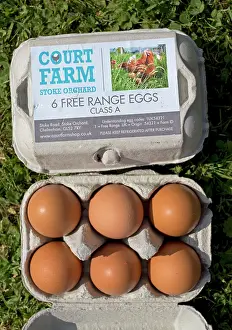 Boxes: 80196786 Free Range Eggs - Class A in box UK Mark