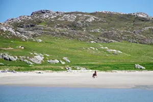 Rider: 80196852 Horse and Rider - on white sandy beach