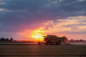 Harvester: 80197268 Farming - Combine Harvester working in