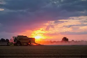 Cereal: 80197270 Farming - Combine Harvester working in