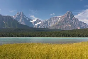 Jasper: 80197419 Upper Waterfowl Lake Jasper National Park