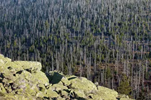 Lusen: 80197435 Bavarian Forest - view from Mount Lusen