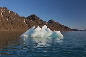 Lilliehoeoek: 80197442 Iceberg Lilliehoeoek-Fjord, Krossfjord
