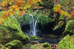 Flows: 80197443 Grosse Ohe - stream flows through the valley
