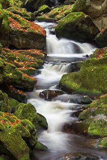 Flows: 80197445 Grosse Ohe - stream flows through the valley