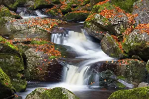 Flows: 80197446 Grosse Ohe - stream flows through the valley