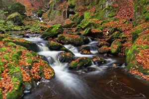 Flows: 80197448 Grosse Ohe - stream flows through the valley