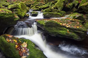 Flows: 80197449 Grosse Ohe - stream flows through the valley