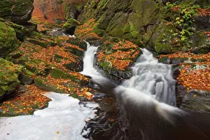 Flows: 80197450 Grosse Ohe - stream flows through the valley