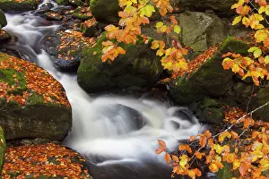 Flows: 80197453 Grosse Ohe - stream flows through the valley