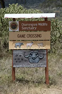 Notice: 80198168 Oserigoni Wildlife Sanctuary - game crossing