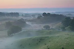 Broesarps: 80198621 Broesarps Backar Hills - in morning fog