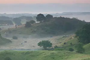 Broesarps: 80198622 Broesarps Backar Hills - in morning fog