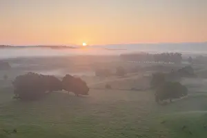 Broesarps: 80198623 Broesarps Backar Hills - in morning fog