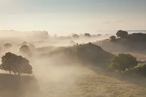 Broesarps: 80198624 Broesarps Backar Hills - in morning fog
