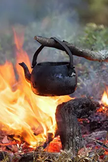 Burning: 80199028 Camp Fire - with Tin Kettle Dalarna, Sweden