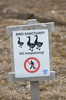 Sign: 80199066 Bird Reserve Sanctuary - warning sign Ny-Alesund