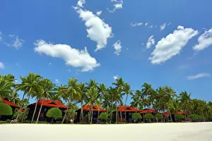 Pantai: 80199152 Tropical sandy beach with palm trees Pantai