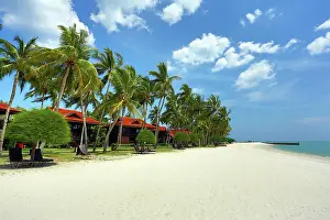 Pantai: 80199153 Tropical sandy beach with palm trees Pantai