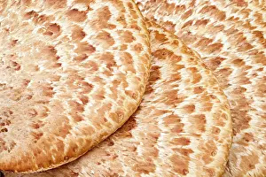 Saddle: 80199391 Dryad's Saddle Norfolk, UK Polyporus squamosus