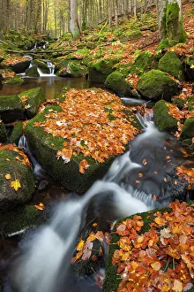 Kleine: 80199997 Stream Kleine Ohe - in autumn Bavarian