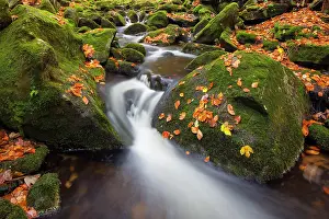 Kleine: 80199998 Stream Kleine Ohe - in autumn Bavarian