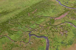 Level: 80200029 Saltmarsh - aerial view at low tide Wadden