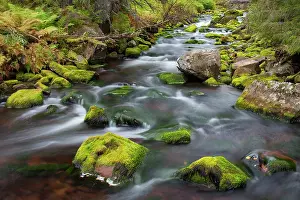 Move: 80200125 Stream Njupan - in autumn Fulufjaellet