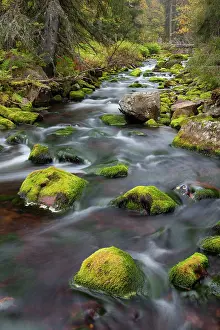 Move: 80200126 Stream Njupan - in autumn Fulufjaellet