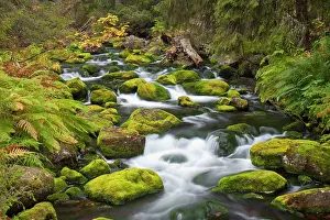 Move: 80200128 Stream Njupan - in autumn Fulufjaellet