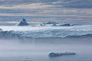 Ilulissat: 80200153 Icebergs - in fog Ilulissat Icefjord, Greenland