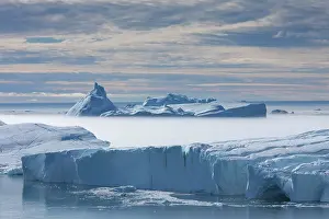Ilulissat: 80200154 Icebergs - in fog Ilulissat Icefjord, Greenland