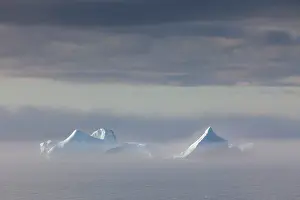 Ilulissat: 80200157 Icebergs - in fog Ilulissat Icefjord, Greenland