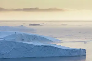 Ilulissat: 80200159 Icebergs - in fog Ilulissat Icefjord, Greenland