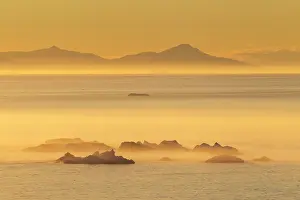 Ilulissat: 80200164 Icebergs - at sunset Ilulissat Icefjord