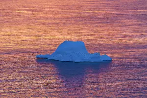 Ilulissat: 80200168 Icebergs - at sunset Ilulissat Icefjord