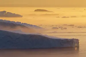 Ilulissat: 80200178 Icebergs - at sunset Ilulissat Icefjord