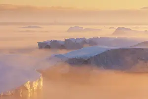 Ilulissat: 80200180 Icebergs - at sunset Ilulissat Icefjord