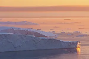 Ilulissat: 80200183 Icebergs - at sunset Ilulissat Icefjord