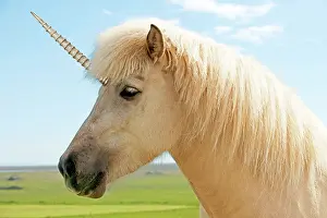 Unicorn: 80200317 Unicorn Digital Manipulation John Daniels