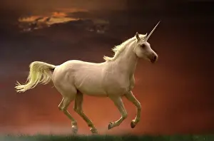 Unicorn: 80200319 Unicorn Digital Manipulation Jean-Michel