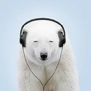 Headphones: 80200394 Polar Bear - wearing headphones - eyes