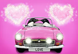 Driving: 80200417 Adelie Penguins - pair driving car kissing