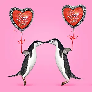 Chinstrap: 80200420 Chinstrap Penguin - pair kissing - holding