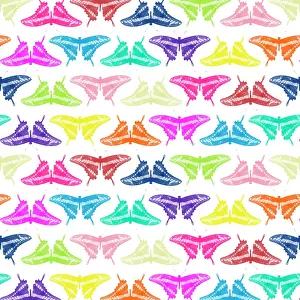 Multi: 80200493 King Swallowtail Butterfly - multi-coloured