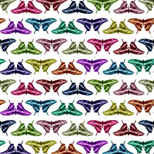 Multi: 80200494 King Swallowtail Butterfly - multi-coloured