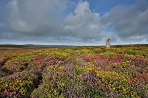 Cornwall: 80200521 Boswens Standing Stone Boslow, Cornwall